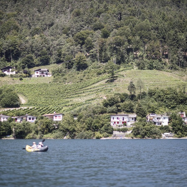 Azienda Agricola Maso Paradiso di Pederzolli Diego | I dintorni